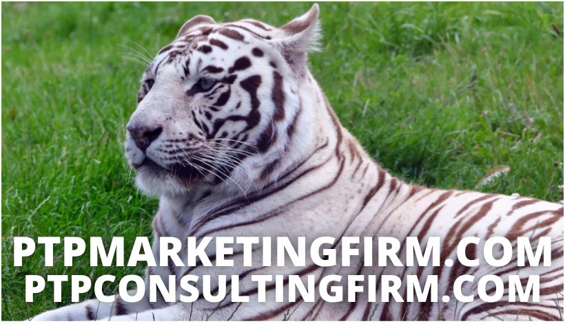 ptpmarketingfirm.com.png ptpmarketingfirm.com.png